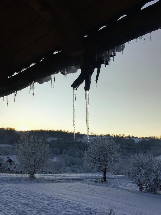 Moja Chata Do Wynajecia Istebna Eksteriør bilde